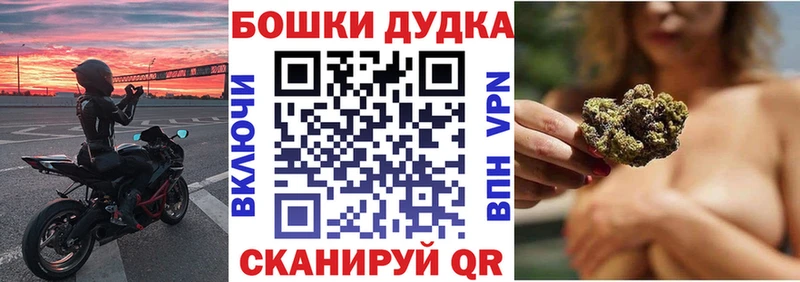 Бошки Шишки конопля  закладки  Калач 